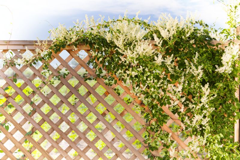 Fence Trellis Installation in Wilmington, NC