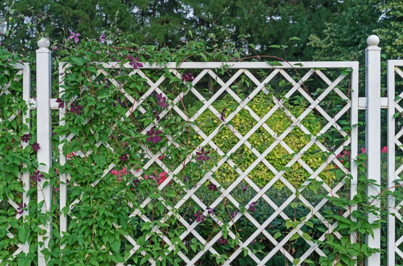 Grape Trellis Installation in Wilmington, NC