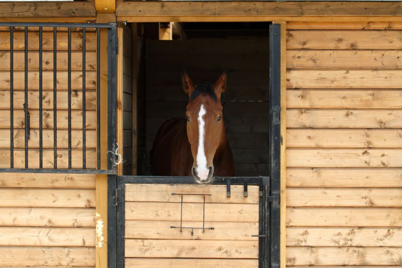 Stable Construction in Wilmington, NC