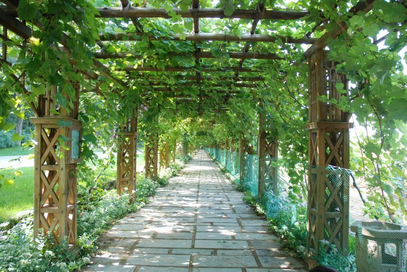 Trellis Construction in Wilmington, NC